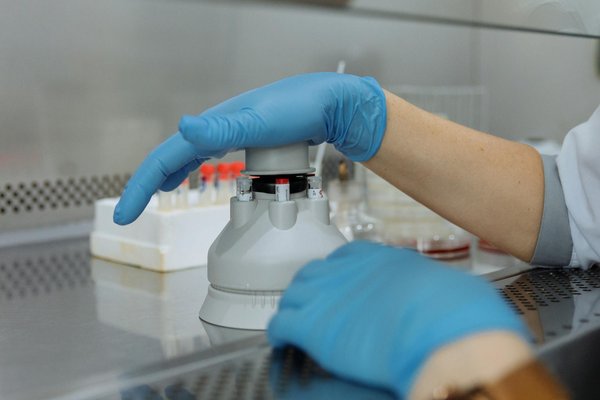 Le rôle de la mastication dans la santé digestive